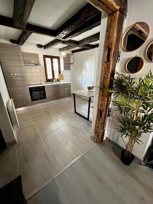 Appartement De Charme Alsacien, Centre Historique Selestat Luaran gambar